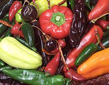 Assorted Chilis