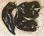 Whole Green Poblano Chilis