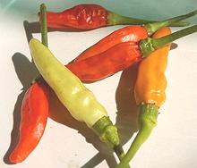 Laotian Chilis