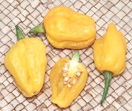 Yellow Scotch Bonnet Chilis, whole, cut