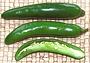 Whole and Cut Green Serrano Chilis