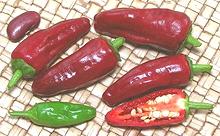 Shatta Chilis, whole and cut