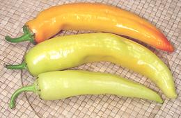 Whole Long Yellow Wax Chilis