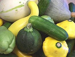 Mix of various Vine Fruits