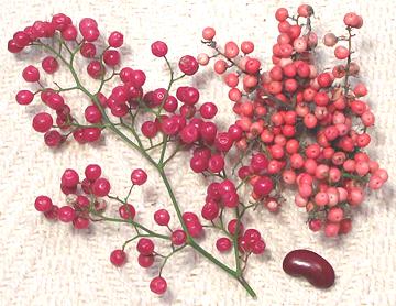 Pink Peppercorns