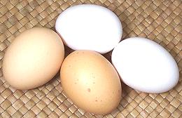 Chicken Eggs