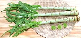 Lettuce Stems w/Leaves