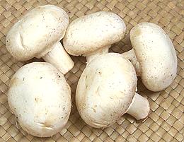 Whole White Mushrooms