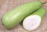 Long Opo Gourd