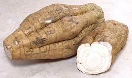 Arrowroot