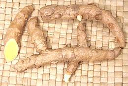 White Turmeric Rhizomes