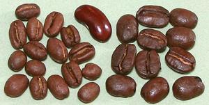 Roasted Beans