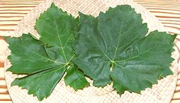 Fresh Grape Leaves