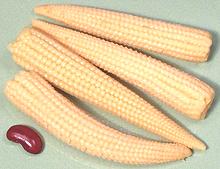 Baby Corn Cobs