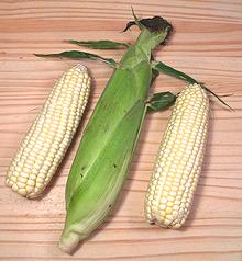 Corn on Cob
