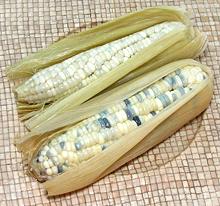 Cooked Waxy Corn on the Cob