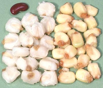 White and Yellow Hominy