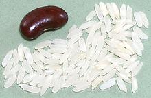 American Long Grain White Rice Grains