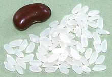 Kokuho Rose Rice Grains