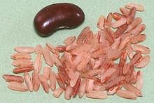 Sri Lanka Red Rice Grains