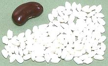 Grains of White Short Grain Sweet Rice