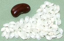 White Valencia Rice Grains