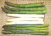Young Asparagus Stalks