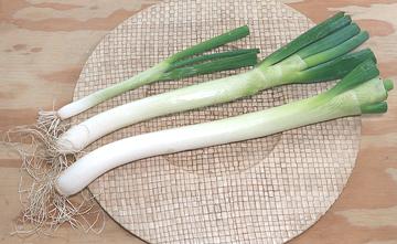 Fresh Korean / Chinese Scallions