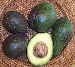 Assorted Avocado Types