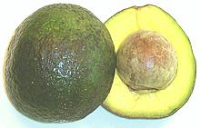 Reed Avocado