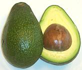 Fuerte Avocado