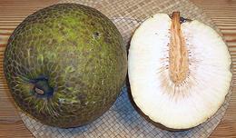 Whole and Cut Breadfruit Fruit