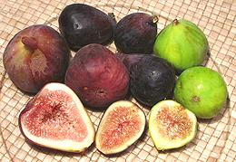 Various Fresh Figs whole and cut