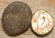 Whole and Cut Immature Jackfruit Fruit