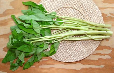 White Water Spinach, Leafy Stems