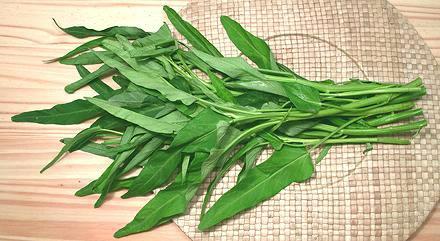 Narrow  Leaf Water Spinach, Leafy Stems