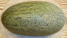 Whole Afghan Melon