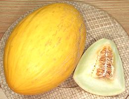 Whole and Cut Canary Melon