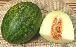 Whole and Cut Chamelon Gaya Melon