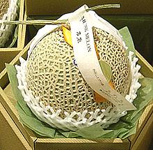 Whole Japanese Melon