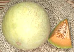 Whole and Cut Cantaline