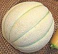 Dulcinea Tuscan Melon