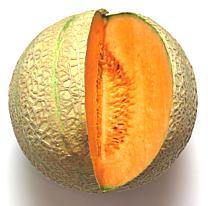 Cut Eastern Muskmelon