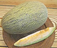 Whole and cut Persian Melon