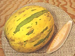 Whole and Slice of Picaso Melon