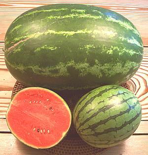 Watermelons