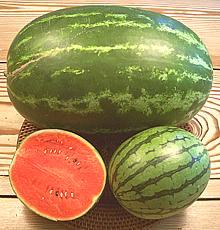 Whole and Cut Watermelons
