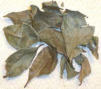 Dried Daun Salam Leaves