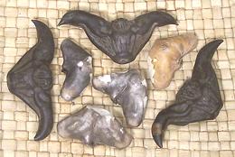 Water Caltrop Fruits