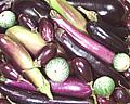 Eggplants